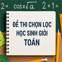 Đề học sinh giỏi tỉnh Toán 9 năm 2024 – 2025 sở GD&ĐT Bà Rịa – Vũng Tàu