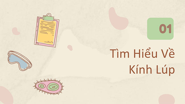 PowerPoint Khoa học tự nhiên 6 Bài 3: Sử dụng kính lúp