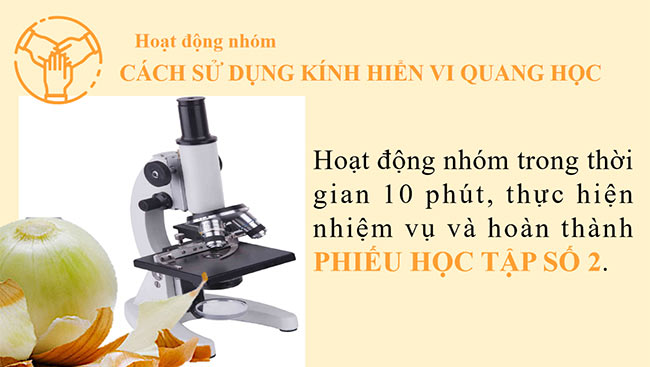 PowerPoint Khoa học tự nhiên 6 Bài 4: Sử dụng kính hiển vi quang học
