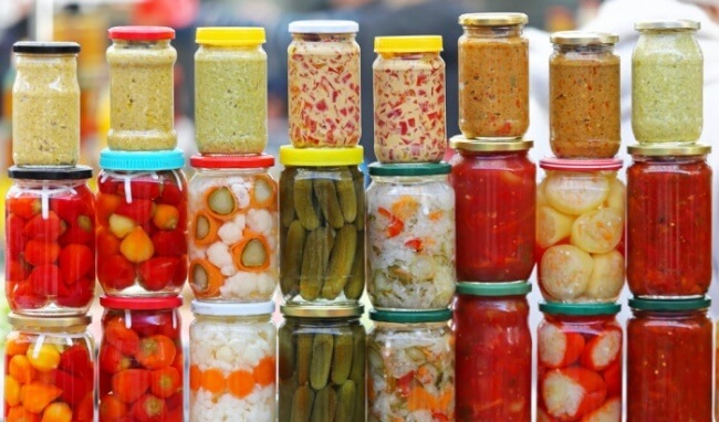 Lý thuyết Sinh 10 Chân trời sáng tạo Bài 24: Quá trình tổng hợp và phân giải ở vi sinh vật