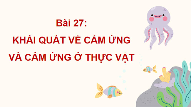 Giáo án PowerPoint Khoa học tự nhiên 7 Bài 27 Cánh diều