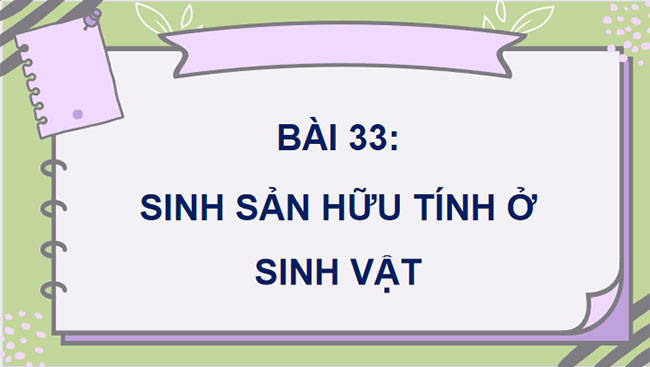 Giáo án PowerPoint Khoa học tự nhiên 7 Bài 33 Cánh diều