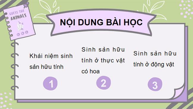 Giáo án PowerPoint Khoa học tự nhiên 7 Bài 33 Cánh diều