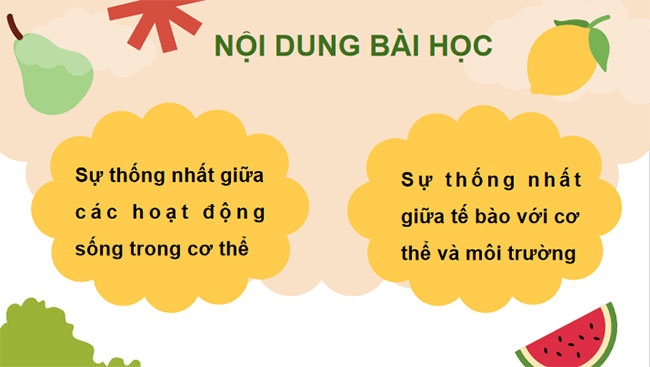 Giáo án PowerPoint Khoa học tự nhiên 7 Bài 35 Cánh diều