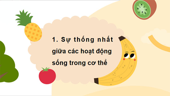 Giáo án PowerPoint Khoa học tự nhiên 7 Bài 35 Cánh diều