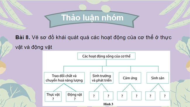 Giáo án PowerPoint Khoa học tự nhiên 7 Bài tập Chủ đề 9, 10, 11, 12 Cánh diều