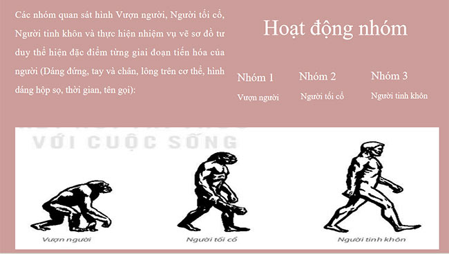 PowerPoint Nguồn gốc loài người