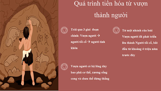 PowerPoint Nguồn gốc loài người