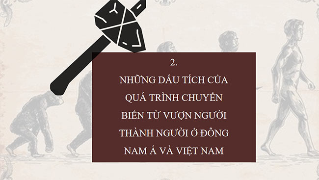 PowerPoint Nguồn gốc loài người