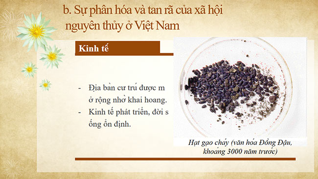 PowerPoint Sự biến chuyển và phân hóa của xã hội nguyên thủy