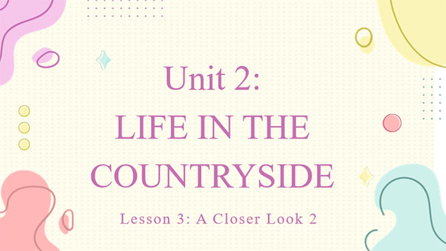 Giáo án Tiếng Anh 8 Unit 2: A Closer Look 2