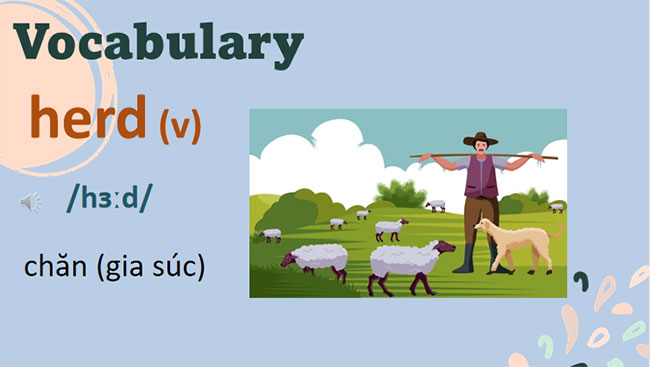 Giáo án Tiếng Anh 8 Unit 2: Getting Started