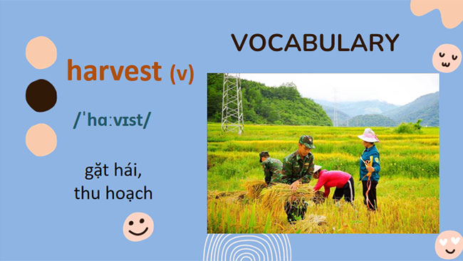 Giáo án Tiếng Anh 8 Unit 4: A Closer Look 2