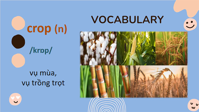 Giáo án Tiếng Anh 8 Unit 4: A Closer Look 2