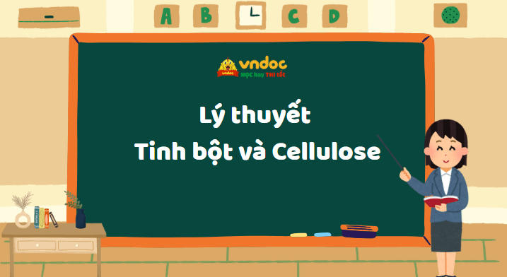 Lý thuyết Tinh bột và Cellulose