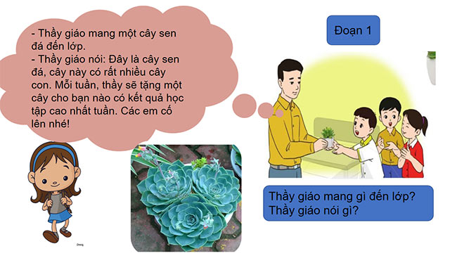 PowerPoint Tiếng Việt 2 Kể chuyện đã học Những cây sen đá