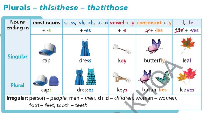 Tiếng Anh 6 Right On Unit 1 1b Grammar