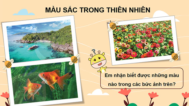 PowerPoint Mĩ thuật 3 Màu sắc em yêu