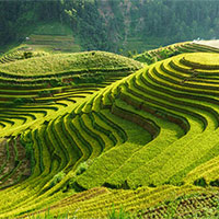 Giáo án Hoạt động trải nghiệm 8 Chủ đề 7 Bài 1: Cảnh quan thiên nhiên quê hương tôi  