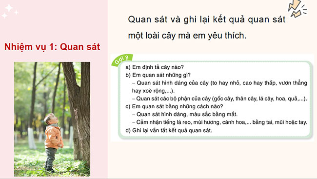 PowerPoint Tiếng Việt 4 Luyện tập tả cây cối