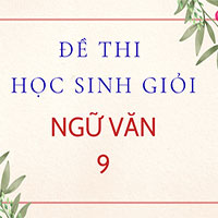 Đề thi học sinh giỏi Ngữ Văn 9 năm học 2024 -2025 tỉnh Bà Rịa Vũng Tàu (có đáp án)