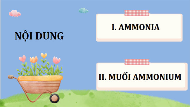 Ammonia - Muối ammonium