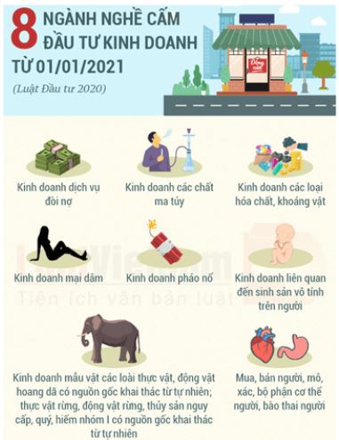 Bài 8: Quyền và nghĩa vụ của công dân về kinh doanh và nộp thuế