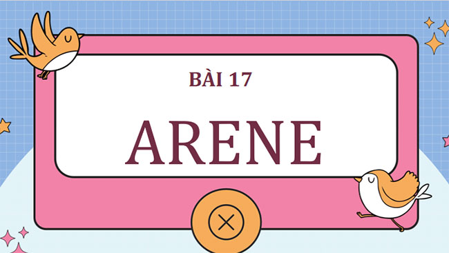 Giáo án Hóa học 11 Bài 17: Arene 