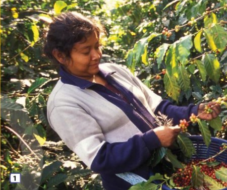 Tiếng Anh 10 Friends Global Unit 7 7F Reading