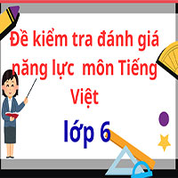 Đề kiểm tra đánh giá năng lực vào lớp 6 môn Tiếng Việt trường THCS Trần Mai Ninh, Thanh Hóa năm học 2025- 2026