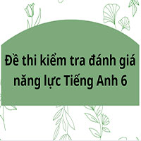 Đề thi kiểm tra đánh giá năng lực Tiếng Anh 6 trường THCS Lê Quý Đôn, Lý Tự Trọng 2025 -2026