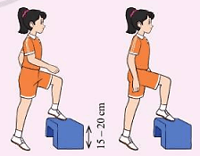 Bật bục đổi chân