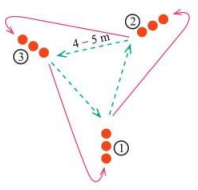 Sơ đó trò chơi "Chuyển bằng theo nhóm