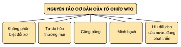 Bài 17: Các nguyên tắc cơ bản của Tổ chức Thương mại thế giới và hợp đồng thương mại quốc tế