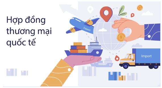 Bài 17: Các nguyên tắc cơ bản của Tổ chức Thương mại thế giới và hợp đồng thương mại quốc tế