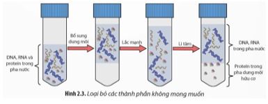 Bài 2: Tách chiết DNA từ tế bào