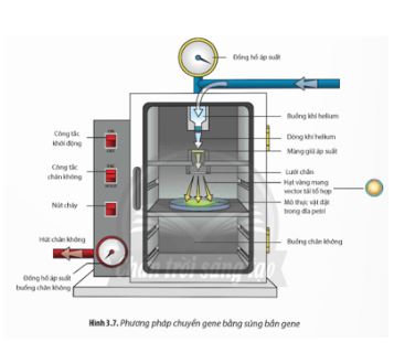 Bài 3: Công nghệ gene và thành tựu
