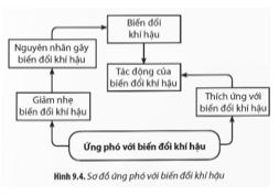 Bài 9: Giá trị sinh thái nhân văn trong một số lĩnh vực