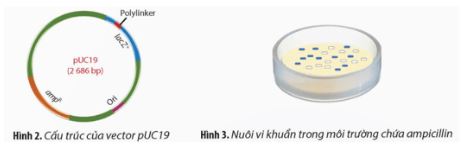 Ôn tập chuyên đề 1