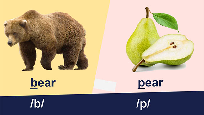 PowerPoint Tiếng Anh 6 Unit 3: A Closer Look 1