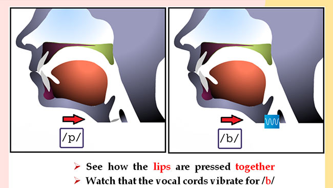 PowerPoint Tiếng Anh 6 Unit 3: A Closer Look 1