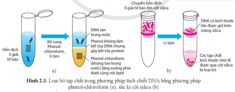 Bài 2: Phương pháp tách chiết DNA