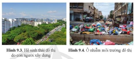 Bài 9: Một số lĩnh vực của sinh thái nhân văn