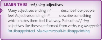 Tiếng Anh 10 unit 1 1E. Work skills