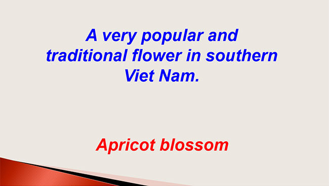 PowerPoint Tiếng Anh 6 Unit 6: Skills 2