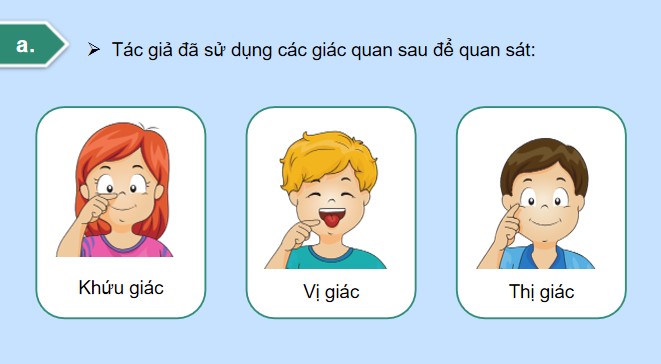 PowerPoint Tiếng Việt 4 Quan sát, tìm ý cho bài văn miêu tả cây cối
