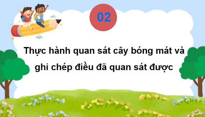 PowerPoint Tiếng Việt 4 Quan sát, tìm ý cho bài văn miêu tả cây cối