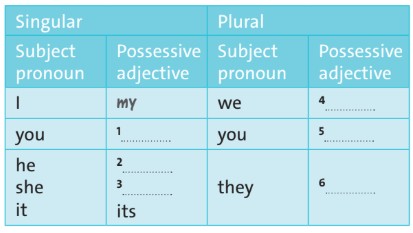 Language focus Starter Unit tiếng Anh 6 Friends Plus trang 7