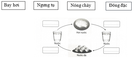 Vở bài tập Khoa học lớp 4 Cánh diều Bài 2: Sự chuyển thể của nước