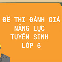 Đề kiểm tra đánh giá năng lực tuyển sinh lớp 6 môn Tiếng Việt trường THCS Lê Quý Đôn năm 2025-2026